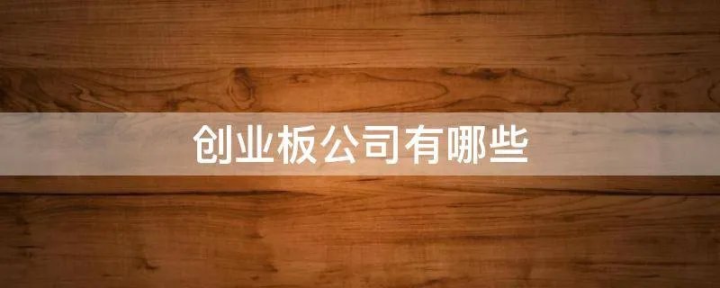 创业板公司有哪些