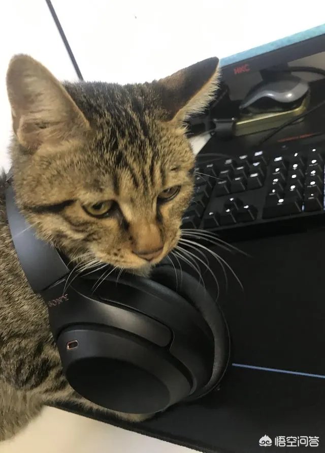 beats solo 3到底值得买吗？