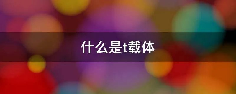 什么是t载体