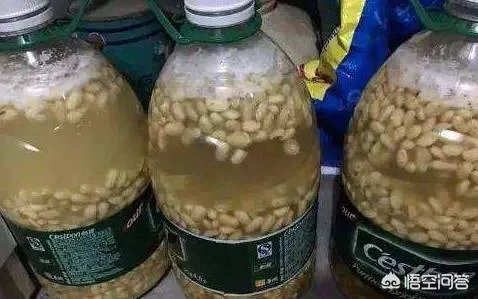 家庭养花自制花肥的办法有哪些？