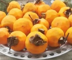 柿饼怎么做 柿饼的家庭做法