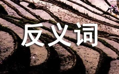 超过的反义词