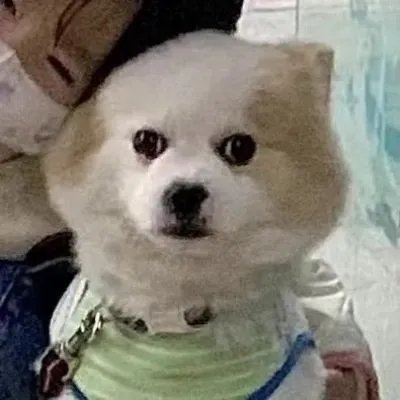 抖音2022最火情侣头像分享