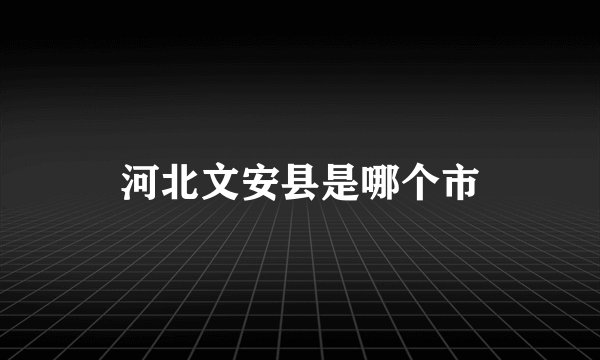 河北文安县是哪个市
