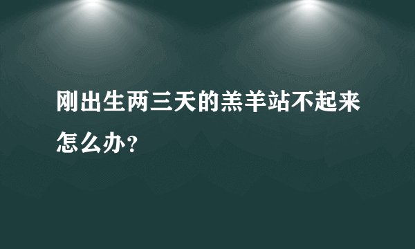 刚出生两三天的羔羊站不起来怎么办？