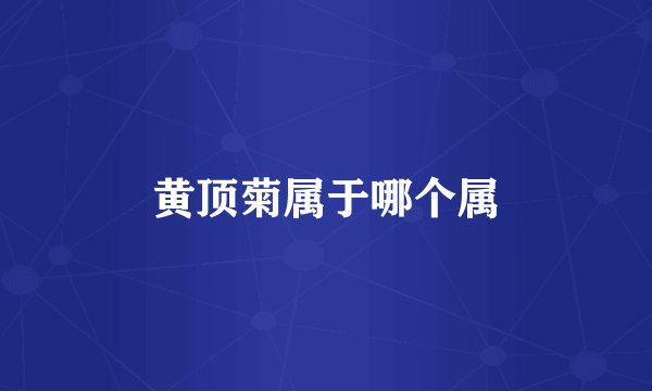 黄顶菊属于哪个属