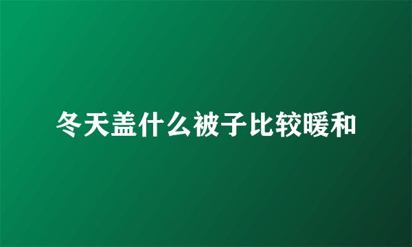 冬天盖什么被子比较暖和