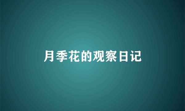 月季花的观察日记