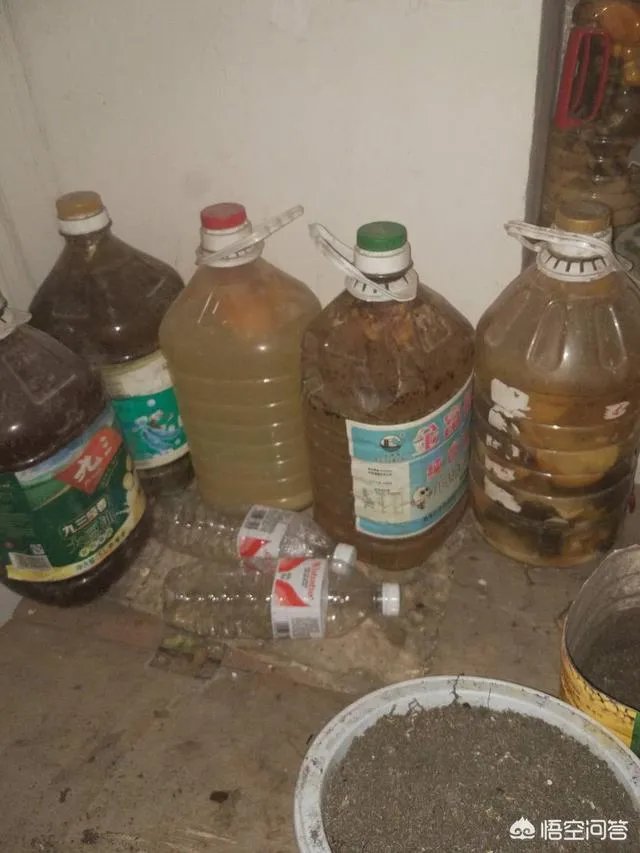 家庭养花自制花肥的办法有哪些?