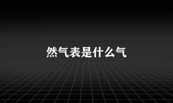然气表是什么气