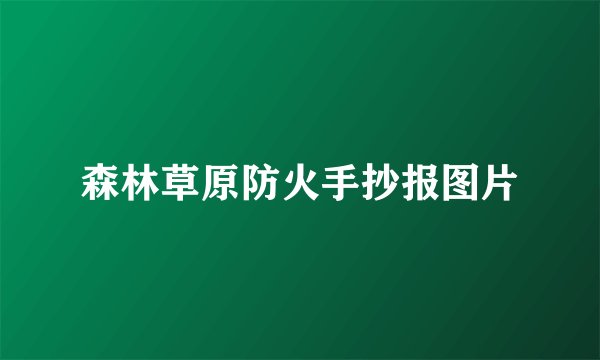 森林草原防火手抄报图片