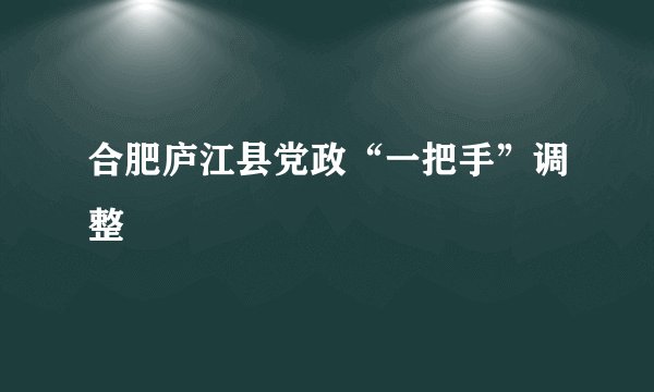 合肥庐江县党政“一把手”调整