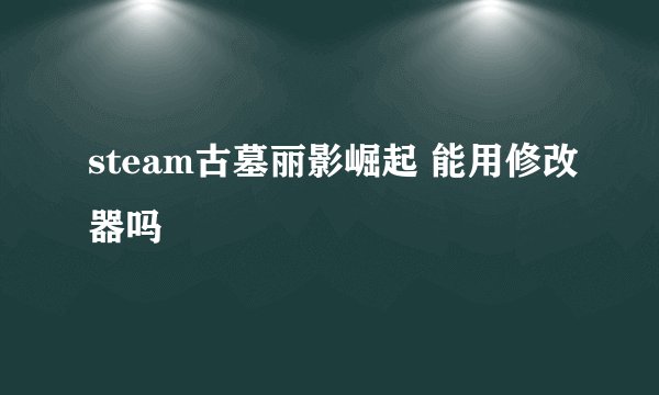 steam古墓丽影崛起 能用修改器吗