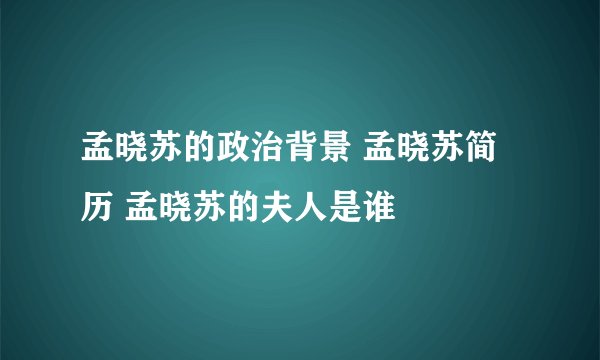 孟晓苏的政治背景 孟晓苏简历 孟晓苏的夫人是谁