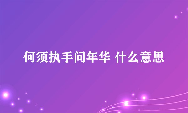 何须执手问年华 什么意思