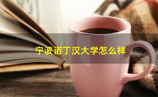 宁波诺丁汉大学怎么样