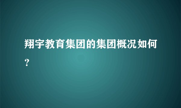 翔宇教育集团的集团概况如何?