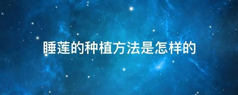 睡莲的种植方法是怎样的