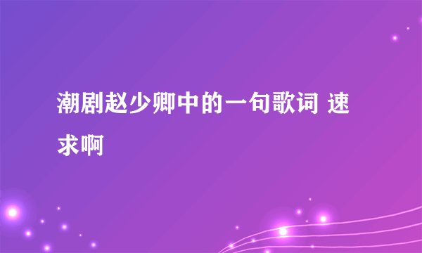 潮剧赵少卿中的一句歌词 速求啊