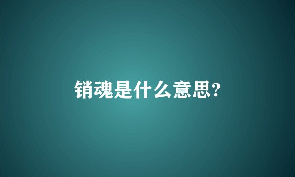 销魂是什么意思?