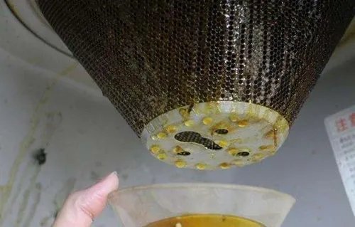 清洗油烟机用什么