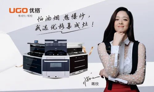 集成灶十大品牌排行榜 集成灶10大品牌有哪些