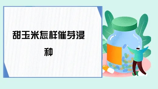 甜玉米怎样催芽浸种