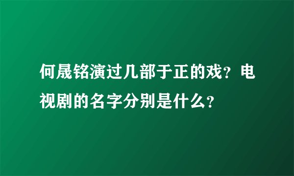 何晟铭演过几部于正的戏？电视剧的名字分别是什么？