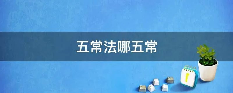五常法哪五常