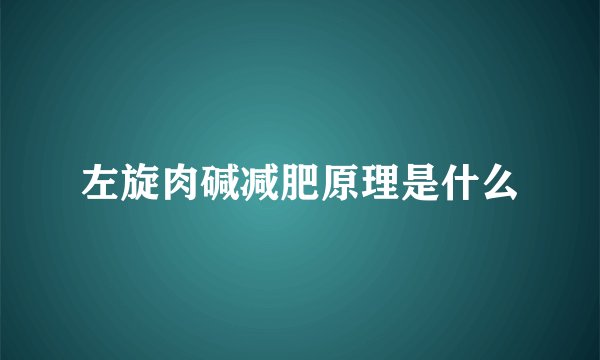 左旋肉碱减肥原理是什么