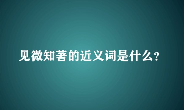 见微知著的近义词是什么？