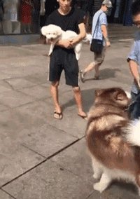 大家分享一下最搞笑的头像图片？