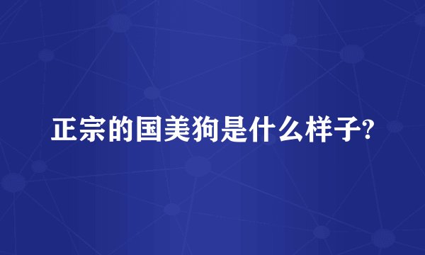 正宗的国美狗是什么样子?