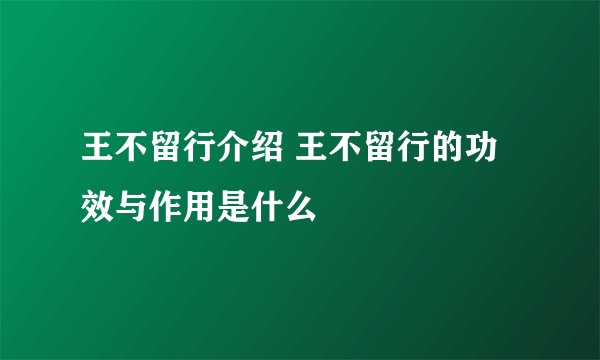 王不留行介绍 王不留行的功效与作用是什么