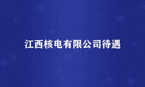 江西核电有限公司待遇