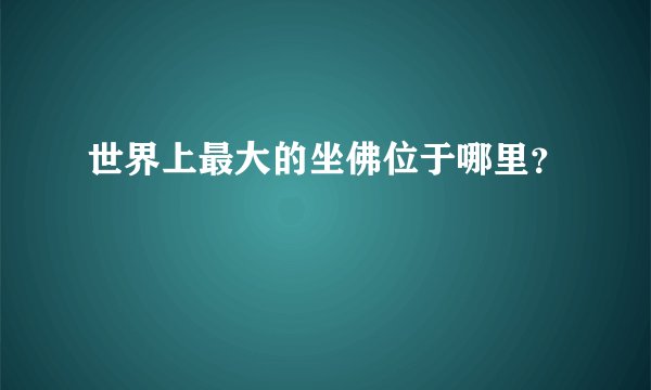 世界上最大的坐佛位于哪里？