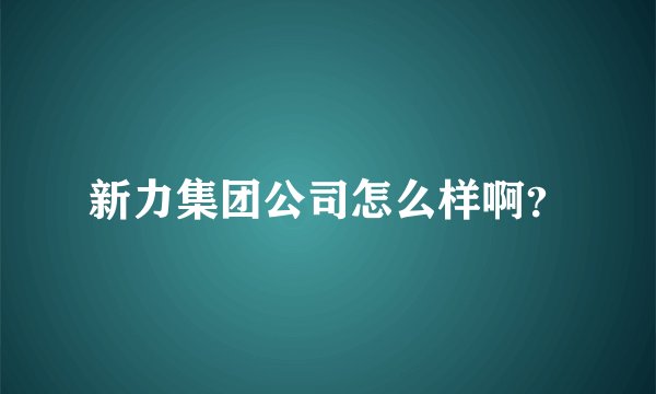 新力集团公司怎么样啊？