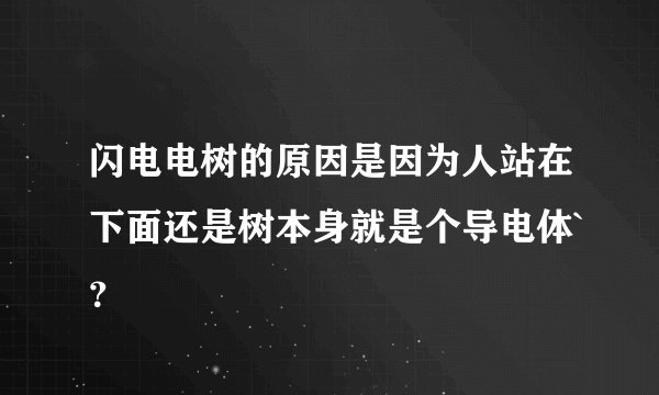闪电电树的原因是因为人站在下面还是树本身就是个导电体`？