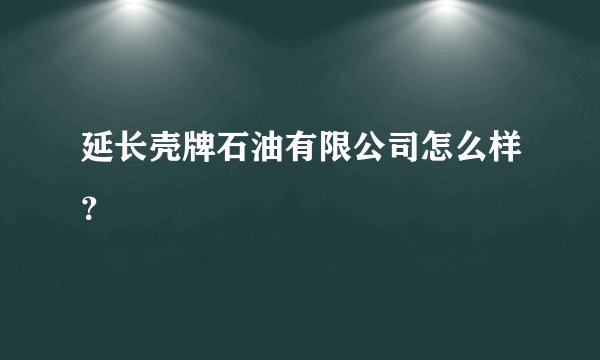 延长壳牌石油有限公司怎么样？