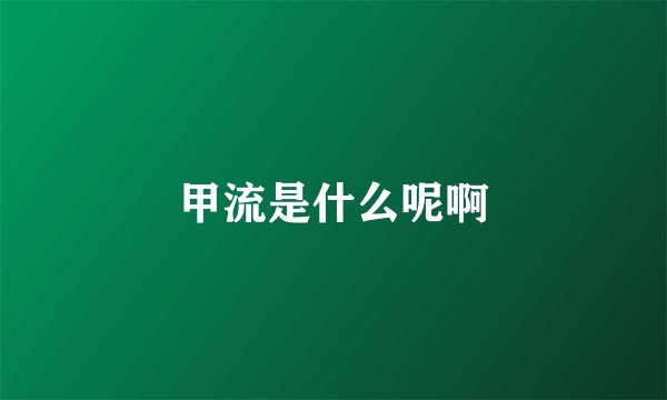 甲流是什么呢啊