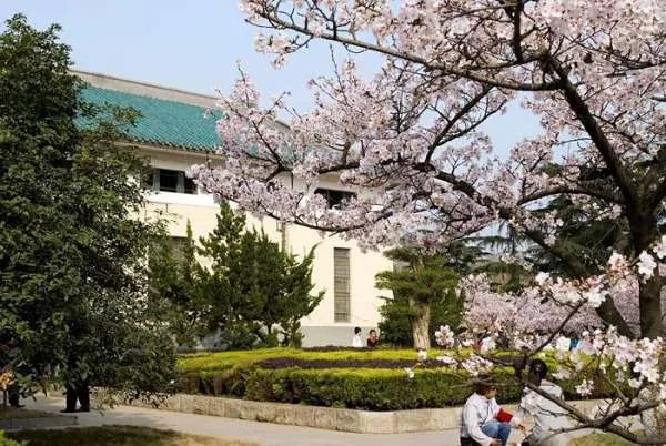 武汉大学录取分数线是多少