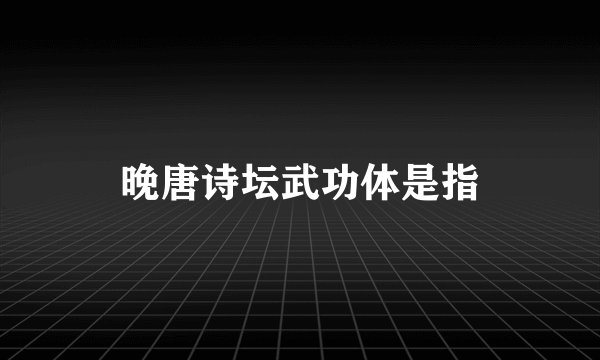 晚唐诗坛武功体是指
