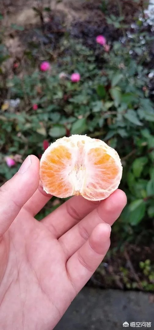 为什么女生朋友圈很多手拿奶茶的照片?