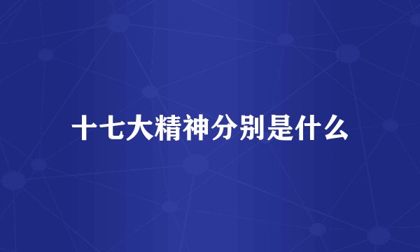 十七大精神分别是什么