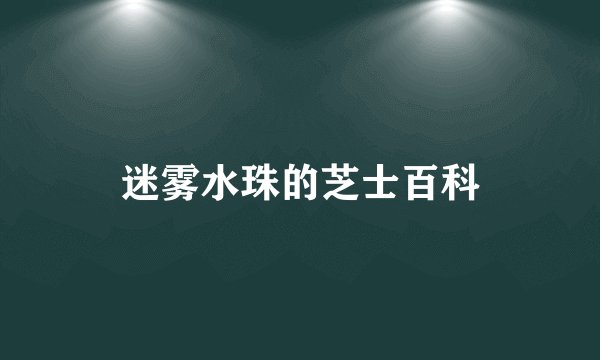 迷雾水珠的芝士百科
