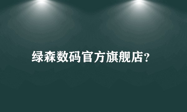 绿森数码官方旗舰店？