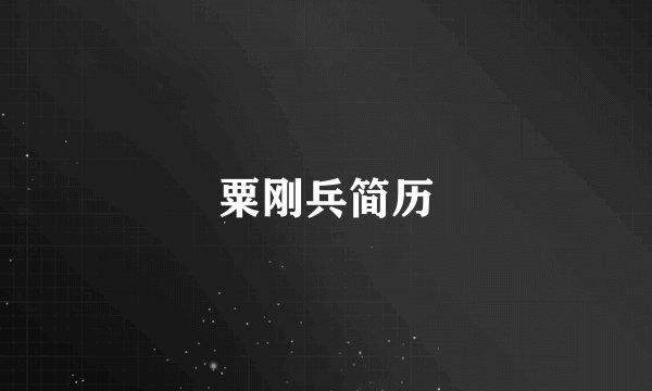粟刚兵简历