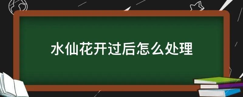水仙花开过后怎么处理