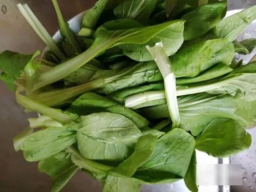 青菜的做法