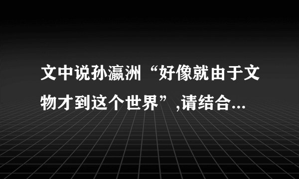 文中说孙瀛洲“好像就由于文物才到这个世界”,请结合材料谈谈你的看法。